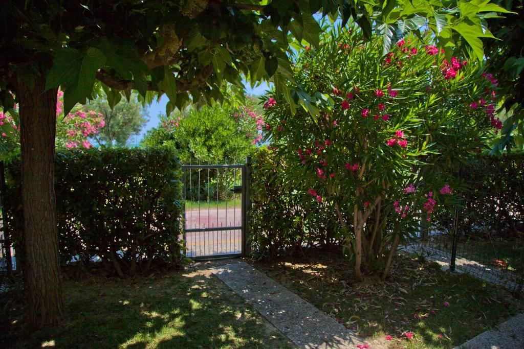 Residence Casabianca Porto San Giorgio Esterno foto