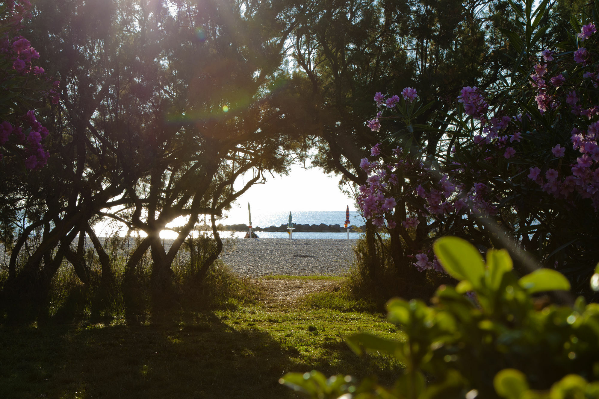 Residence Casabianca Porto San Giorgio Esterno foto